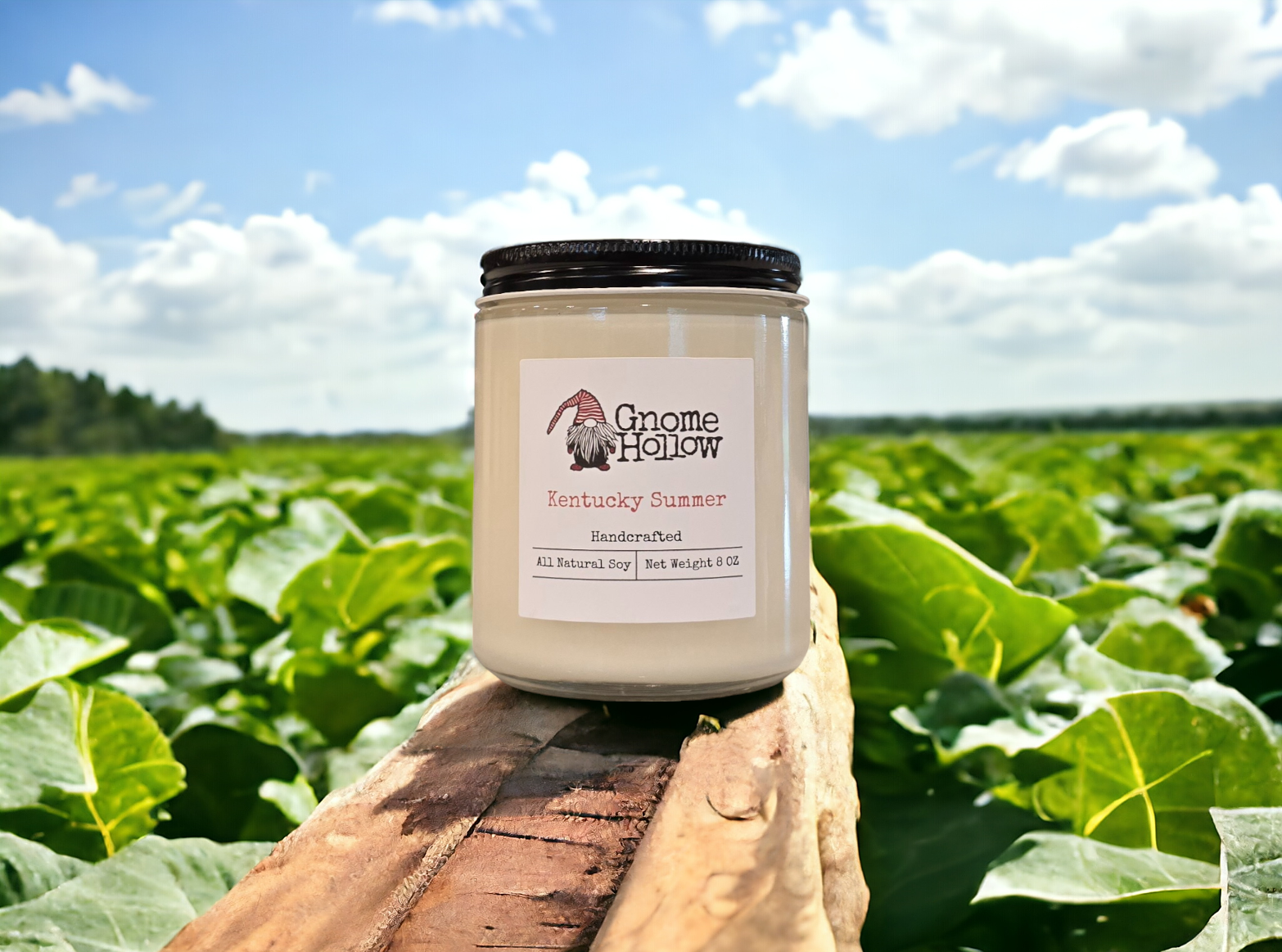 KY Summer candle on a fence post in a tobacco field