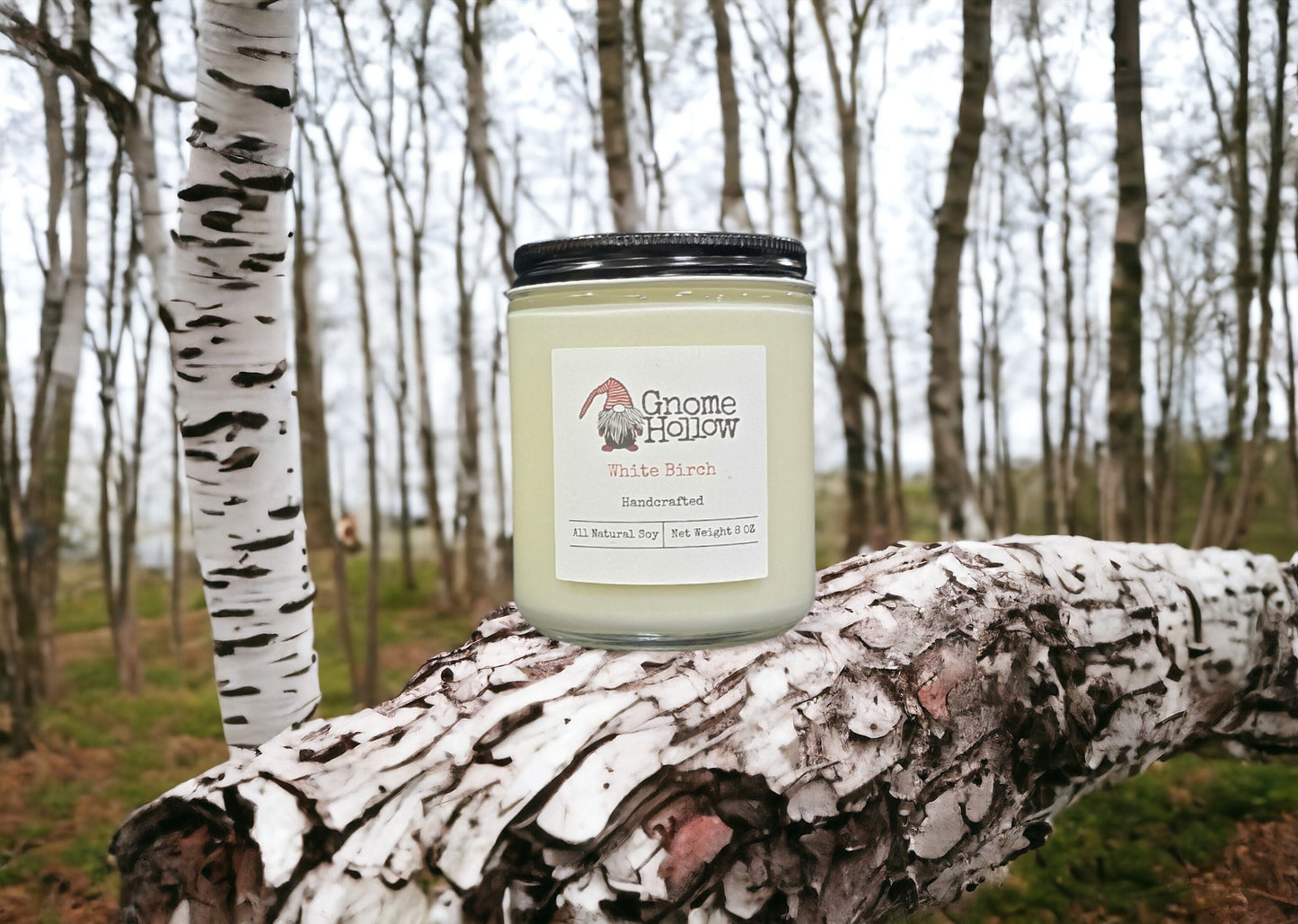 White Birch candle sitting on a fallen birch tree with a leafless birch trees in the background