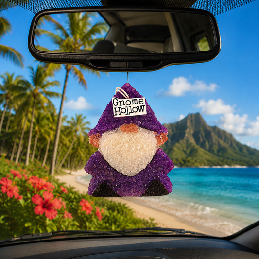 Aloha Air Freshener: The Scents of the Islands