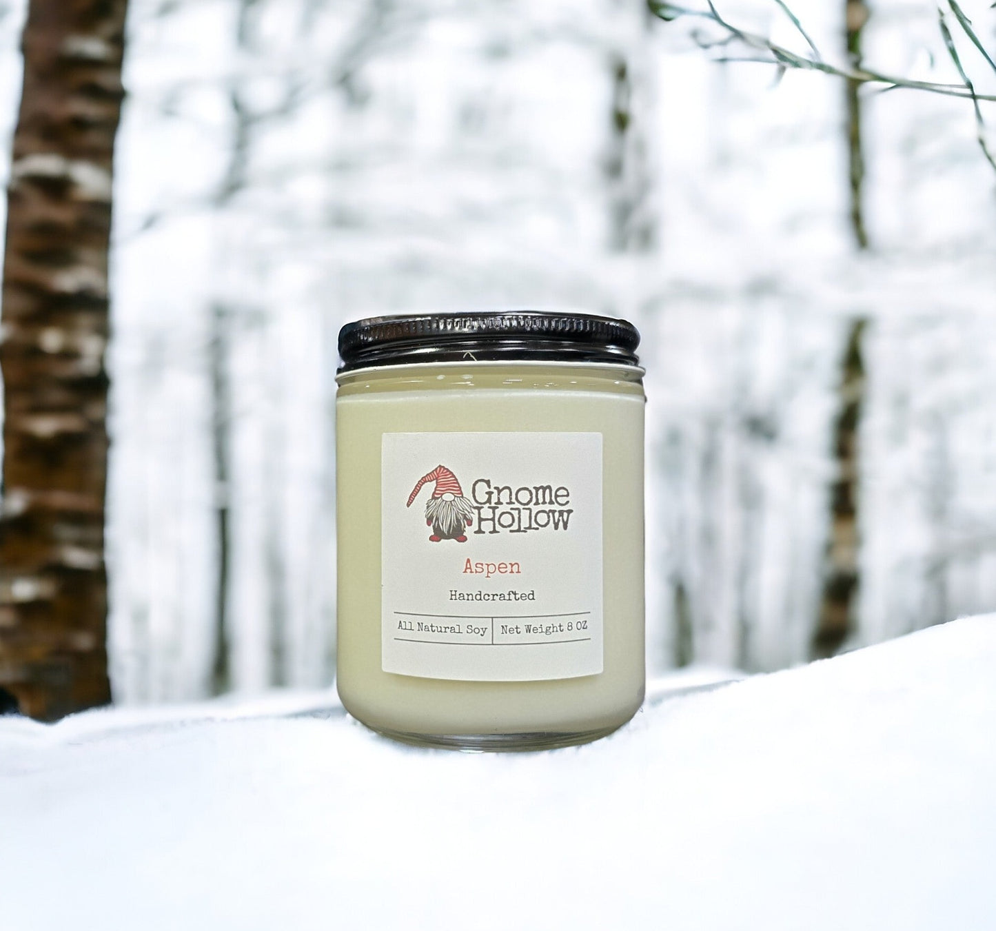 Gnome Hollow hand-poured candle in a jar. Aspen candle is sitting in show