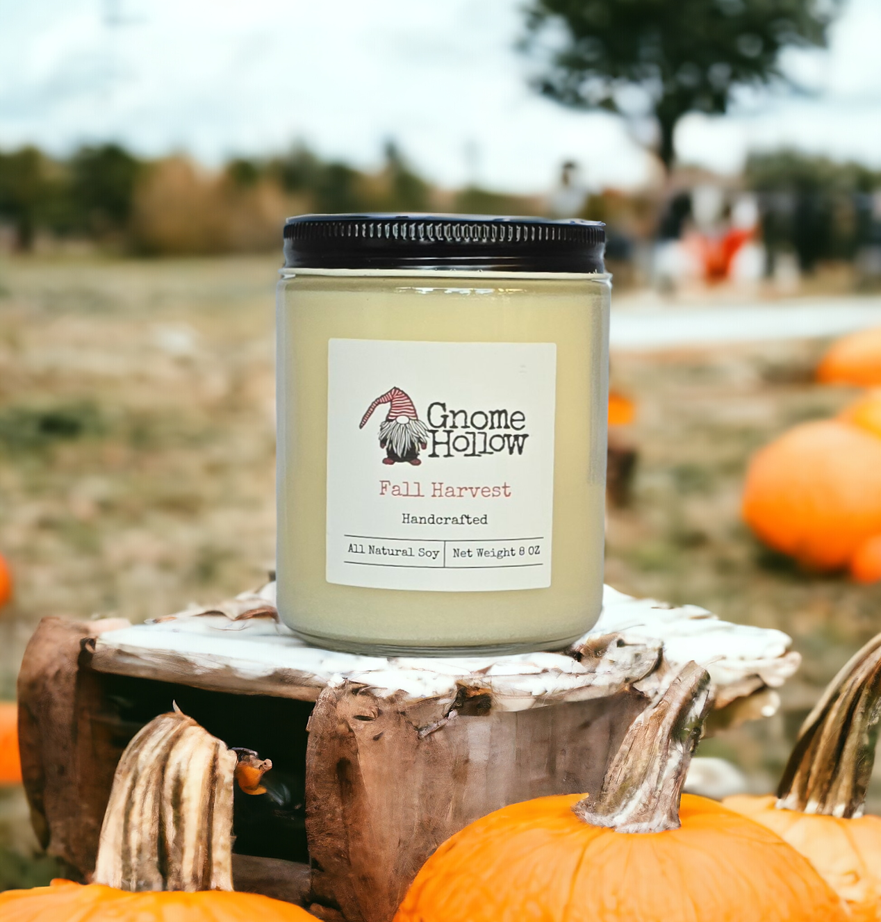 Pumpkins, vanilla