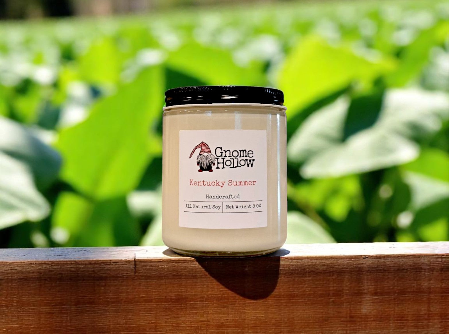 Kentucky Summer candle with a creamy vanilla and dark brown sugar scent, placed on a wooden surface with green foliage in the background.