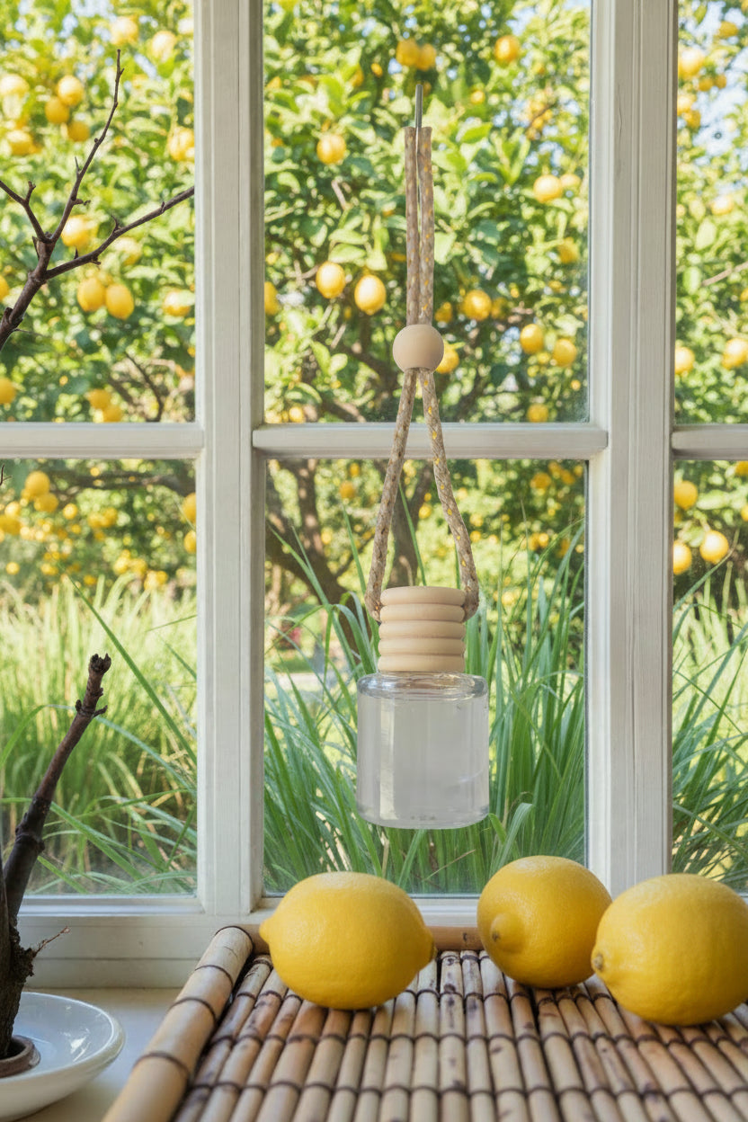 Decorative hanging diffuser with lemons on a windowsill