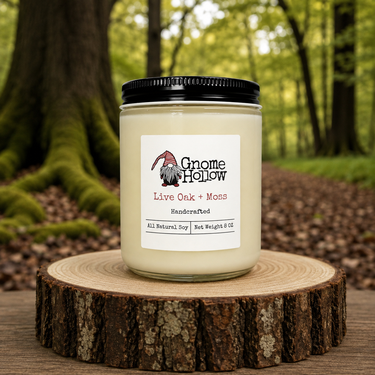 Live Oak + Moss: Rooted in the Bayou