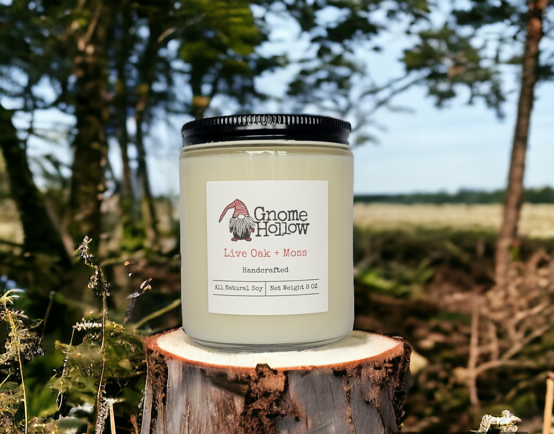 Live Oak + Moss candle sitting on a  tree stump with trees and a field in the background