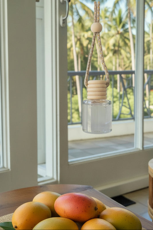 Hanging diffuser with mangos and a view of the coconut trees from a window.