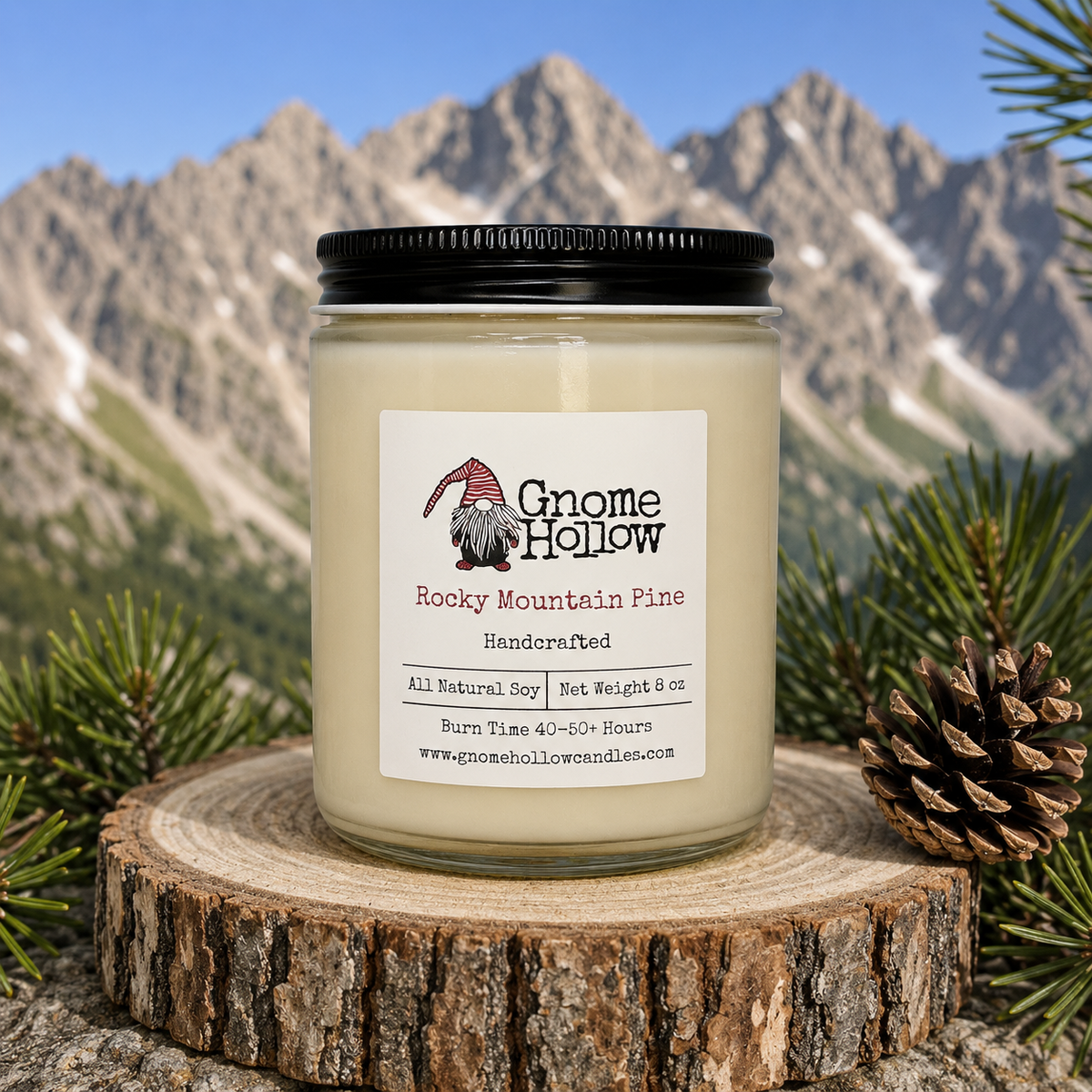 Rocky Mountain Pine: Where Winter Stands Still