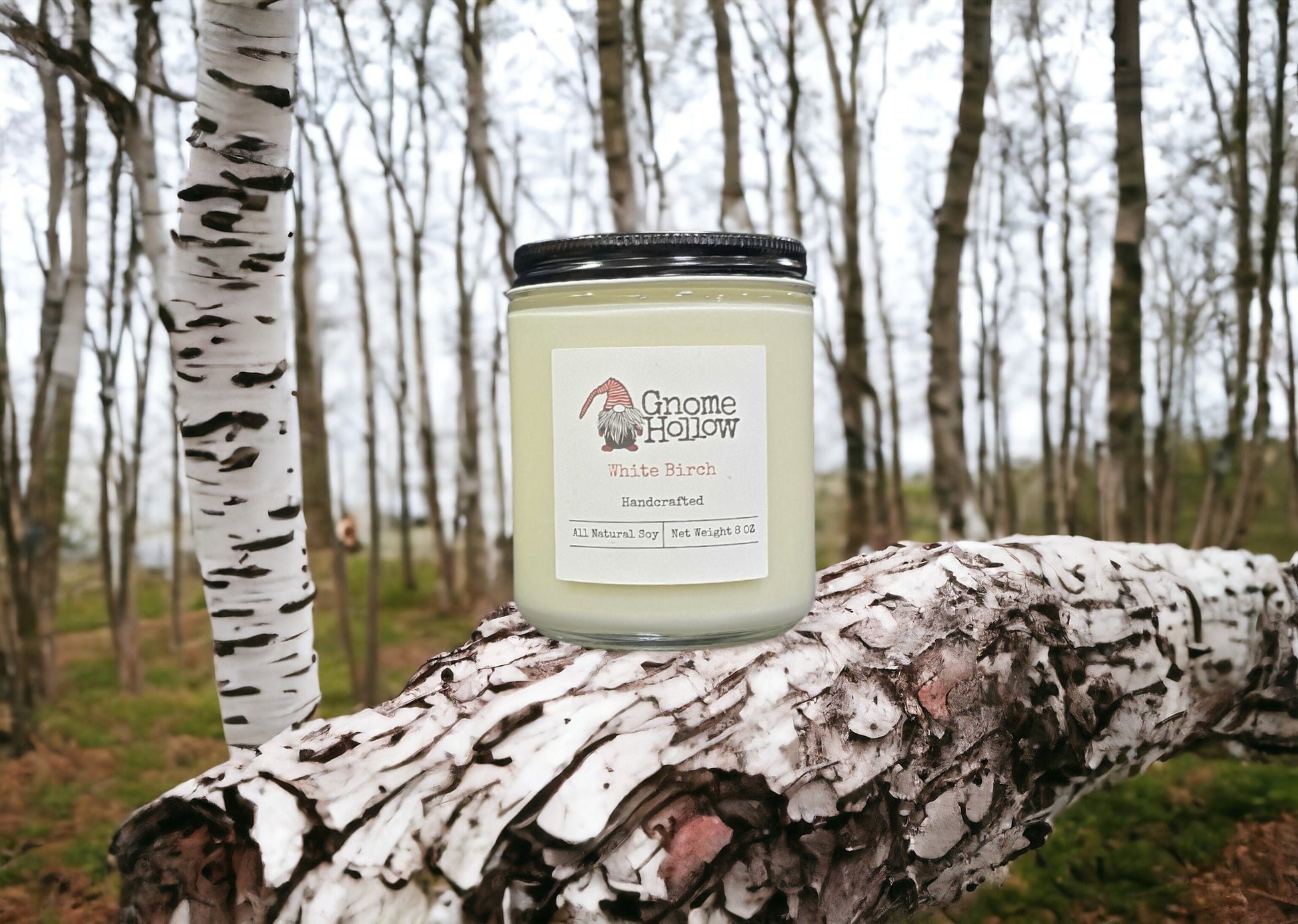 White Birch candle sitting on a fallen birch tree with a leafless birch trees in the background